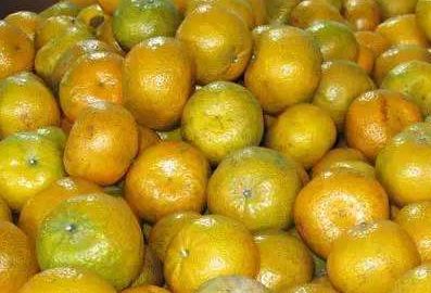 同一年份的新会陈皮颜色深浅不一是否正常