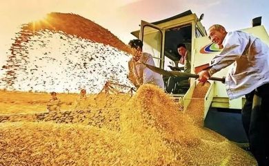 RCEP生效开启农业新蓝海 初级农产品如何乘风破浪？