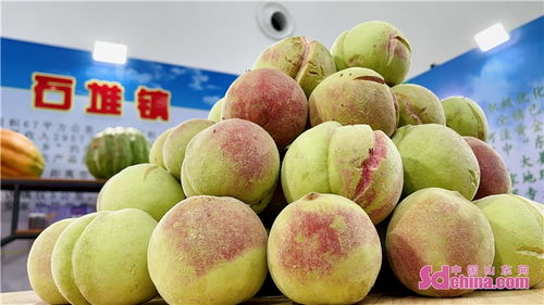 让世界爱上安丘味道——2021山东安丘出口农产品博览会盛大启幕