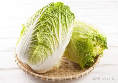 土坑酸菜事件 初级农产品供应链的信任危机与深远影响