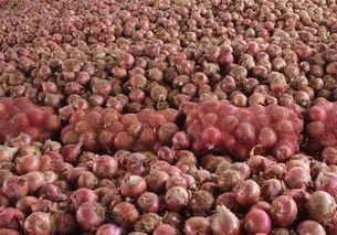 滞销背后 初级农产品的深层困境与根本出路