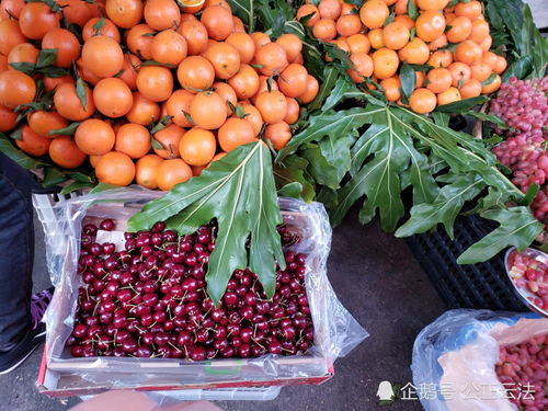 保山市隆阳区2019年12月中旬农产品市场价格总体平稳