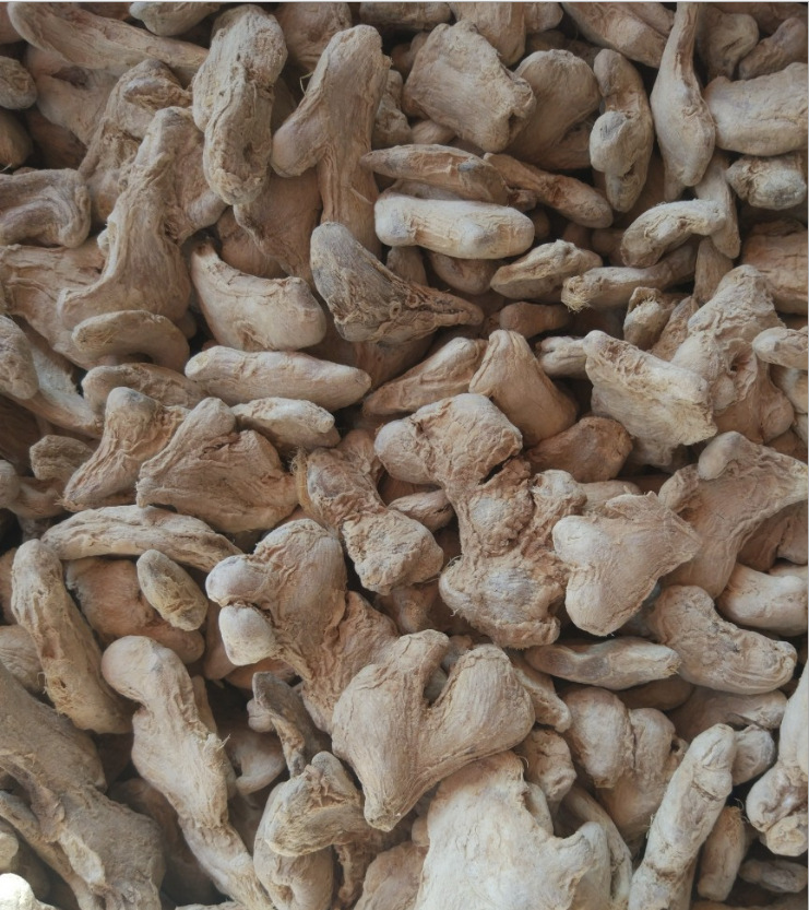 农家干姜 传统风味的健康选择